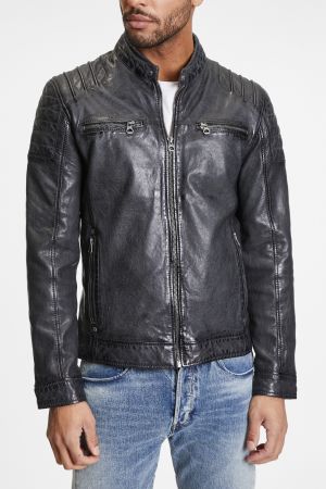 GIPSY Leo Anthracite