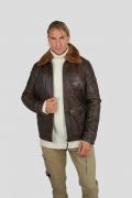 REDSKINS Canadian Marron